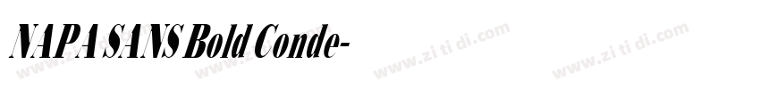 NAPA SANS Bold Conde字体转换